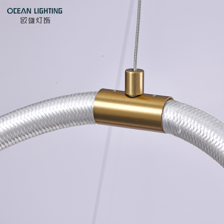 Nordic Modern Simple Pendant Lamp Postmodern Ring Indoor lighting 24W Led Chandelier