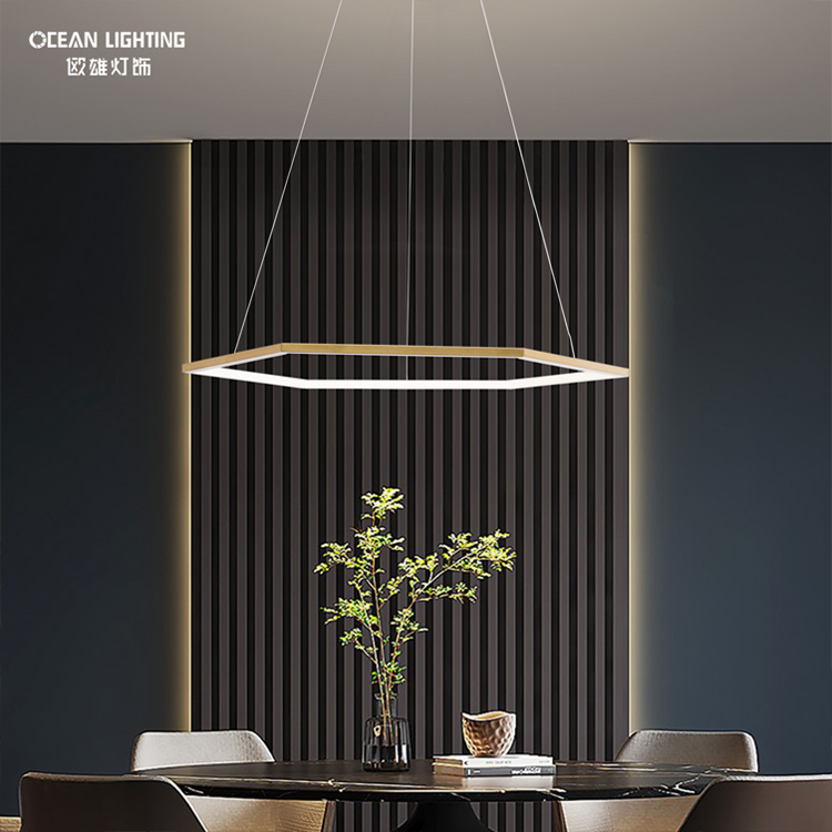 Ocean Lighting LED Modern Golden Irregular Decorative Simple Pendant Light