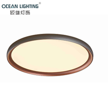 Siple Home Decoration Nice Modern Led Ceiling Lighting